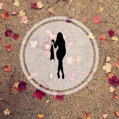 ���ڳ����ݵ��氮��������