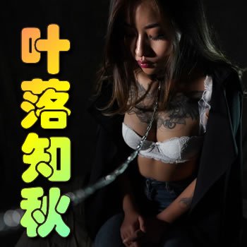 ����Ҷ����ҵ��λǧ��Ҷ��֪�