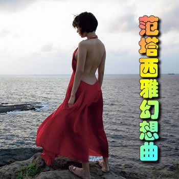 �������Ż�����