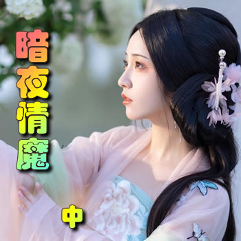 ��ҹ��ħ���У�